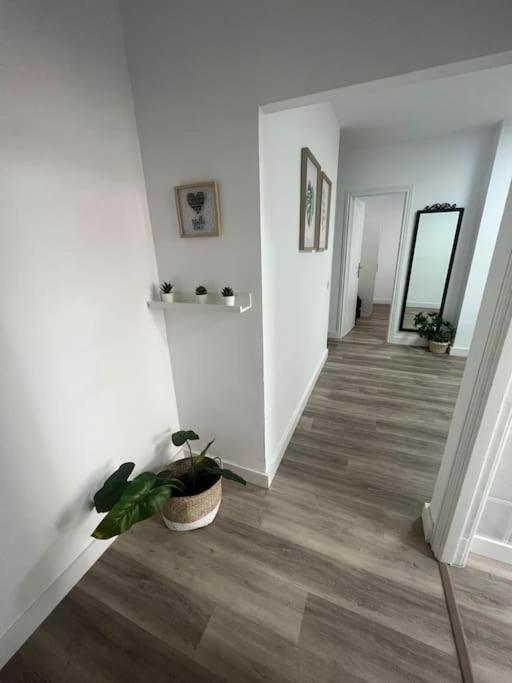 Piso Centrico En Las Palmas Экстерьер фото